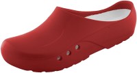 32953-00-00 Orthoclogs Rood